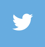 Logo Twitter